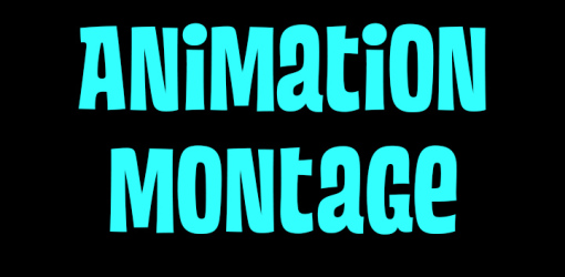 Animation Montage