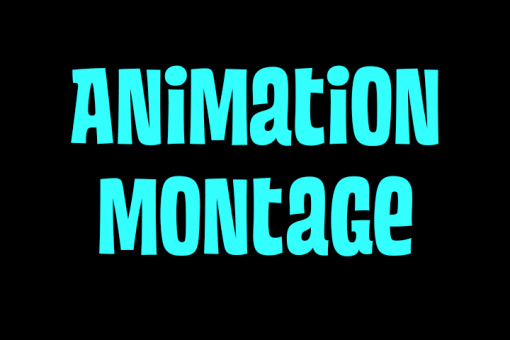 Animation Montage